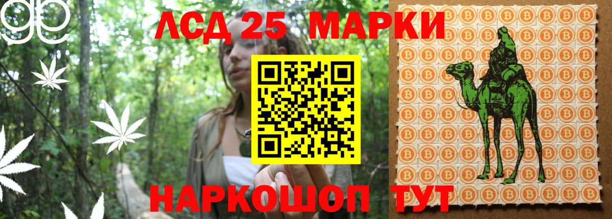 Наркотические марки 1,5мг  Наркотические марки 1,5мг  Абинск  Вход с VPN 