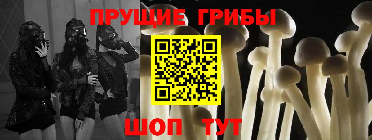 Галлюциногенные грибы мицелий Абинск